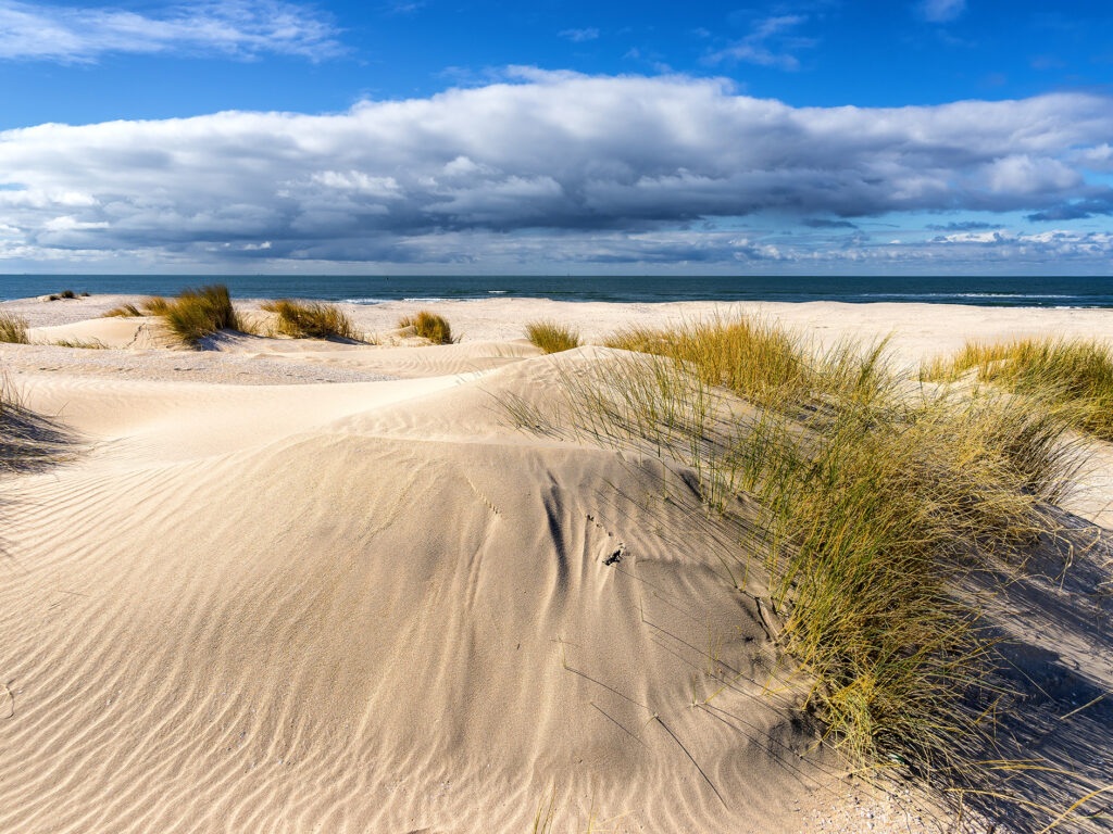 Imagebild Dünen auf der Insel Amrum